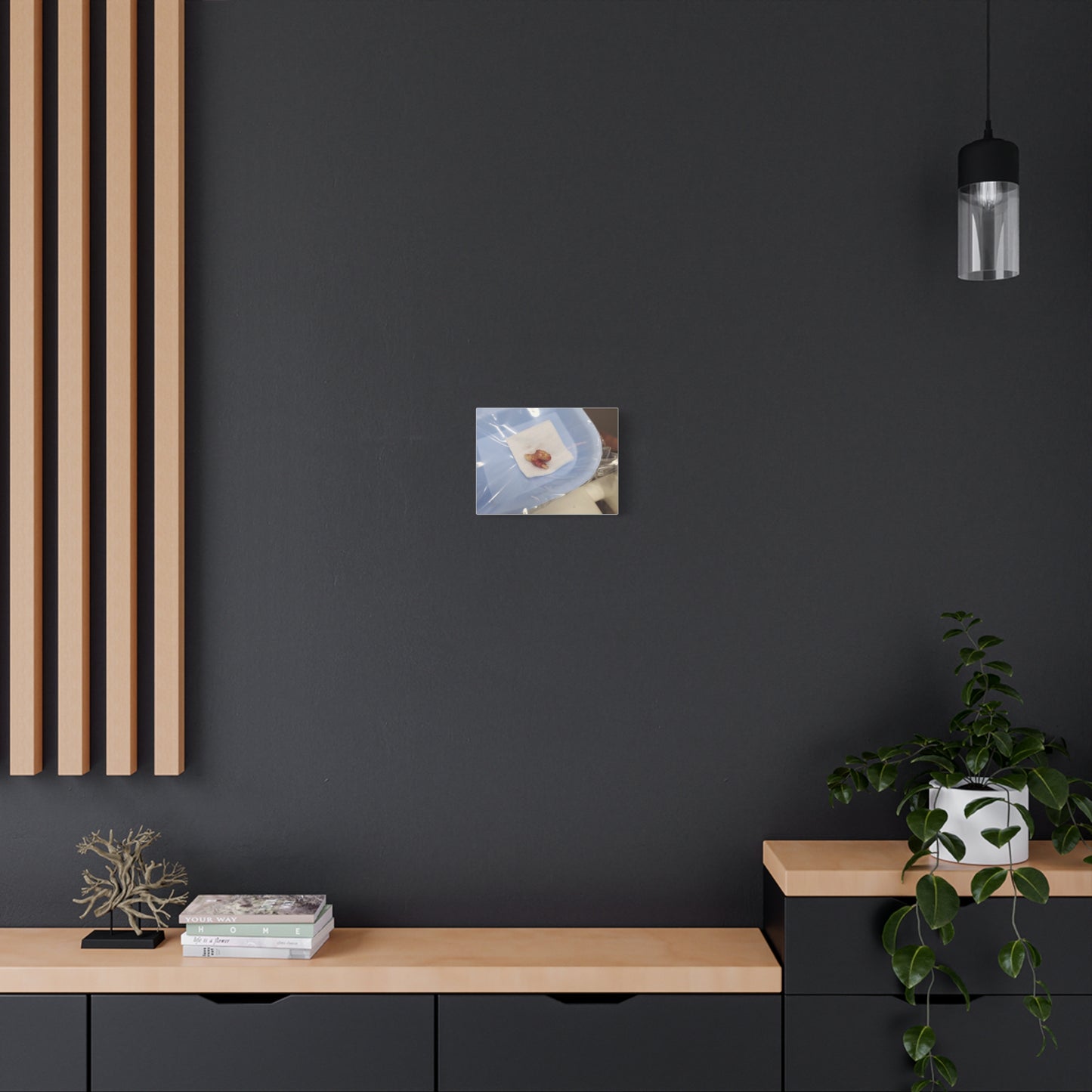 Unique Stretched Matte Canvas Art - Dental Curiosities Decor